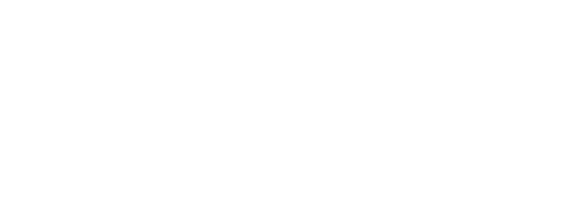 BGR VISION kopya